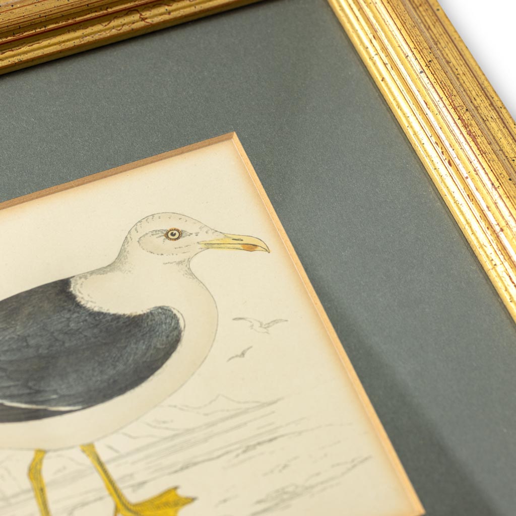 Lithograph by Alexander Francis Lydon