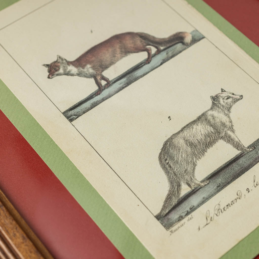 Charming French antique hand painted lithograph by Jean-Babtise Meunier