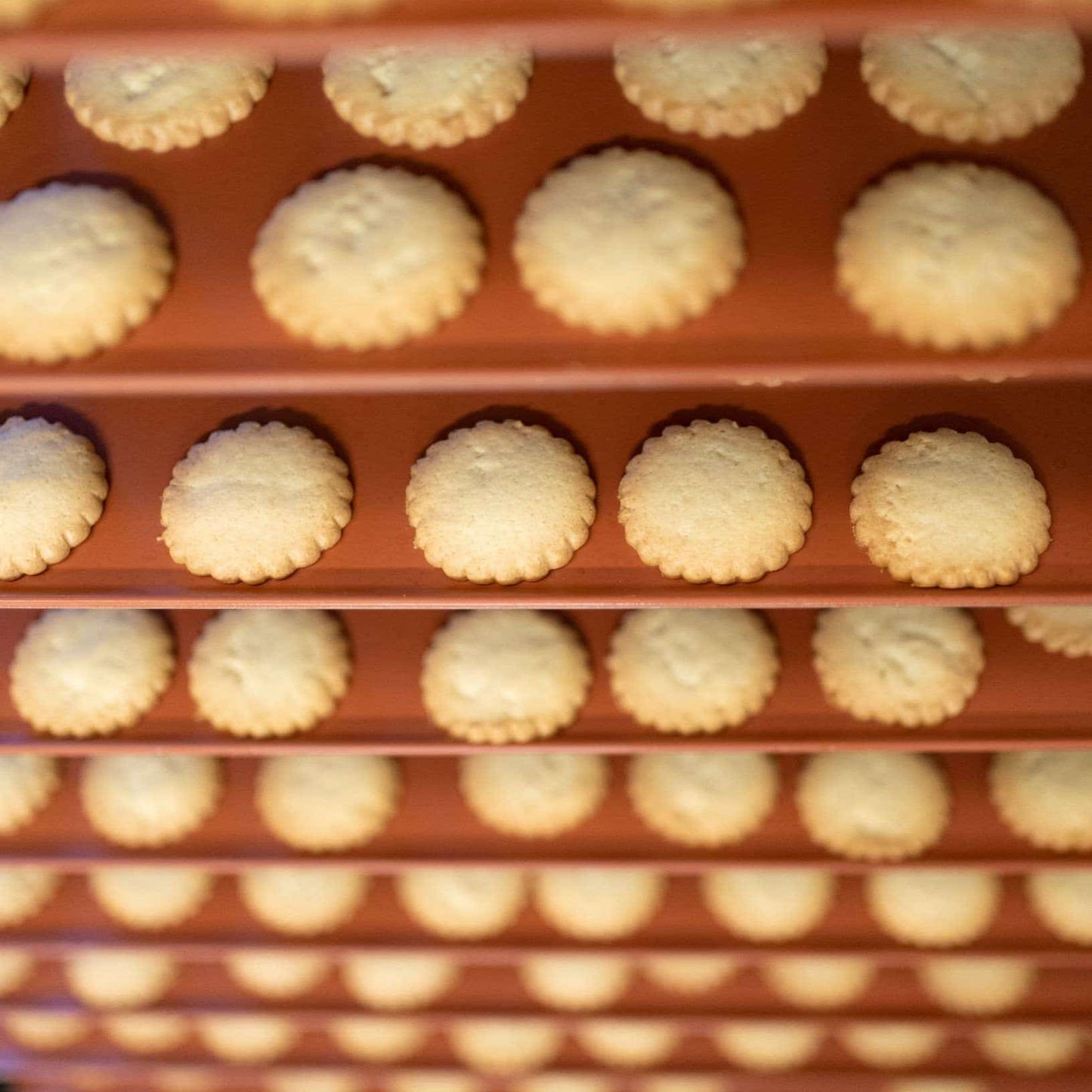 Baked cookies in a silicone mold with a blurred background