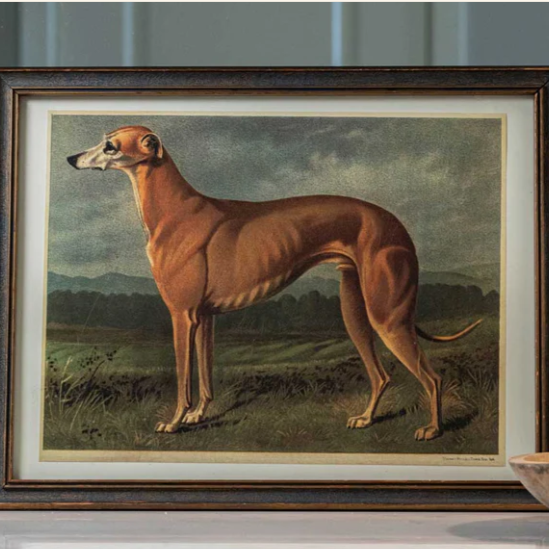 Whippet Art Print | Dog Wall Decor | Trouver
