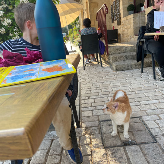 Restaurant in France