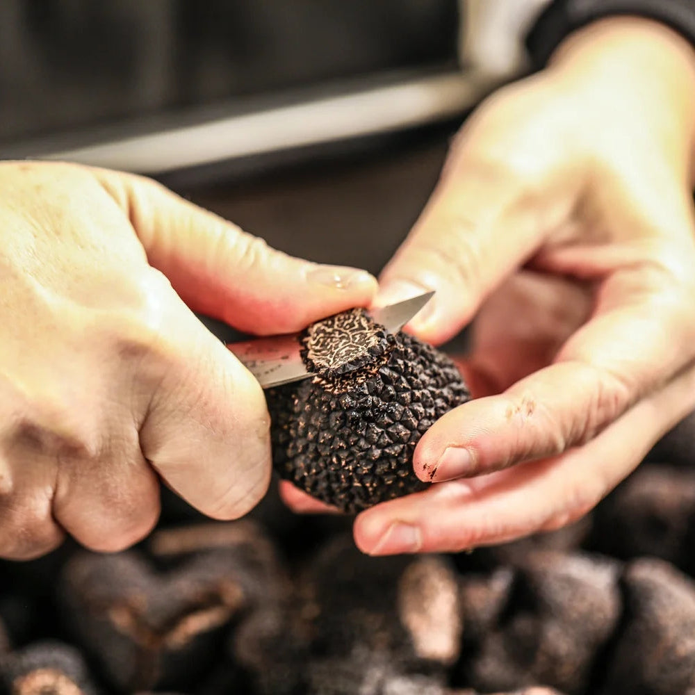 French Gourmet Gift Box Taste of France | Luxury Food Hamper | Trouver | Black Perigord Truffle Tuber melanosporum Harvest 