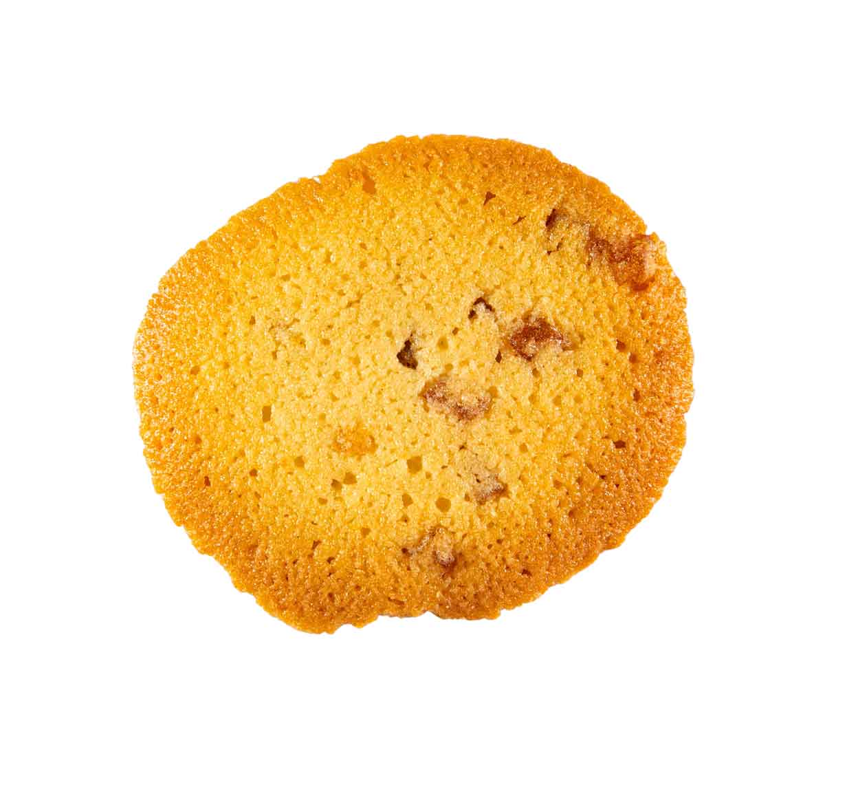 Round cookie with visible raisins on a white background
