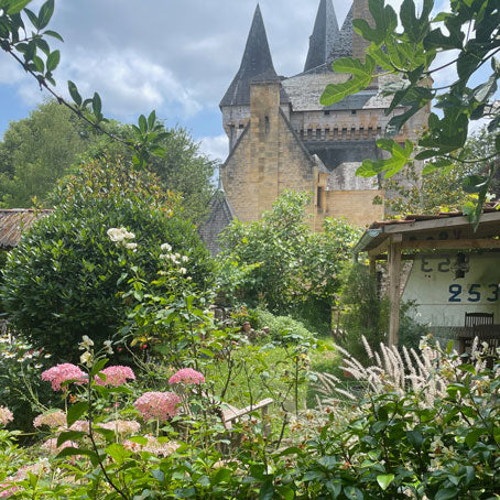Castle in France