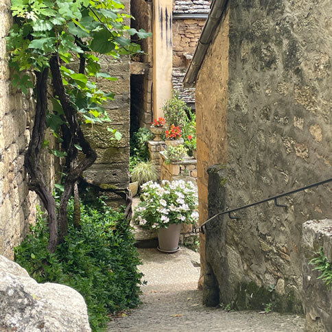Small walk way in old town in France